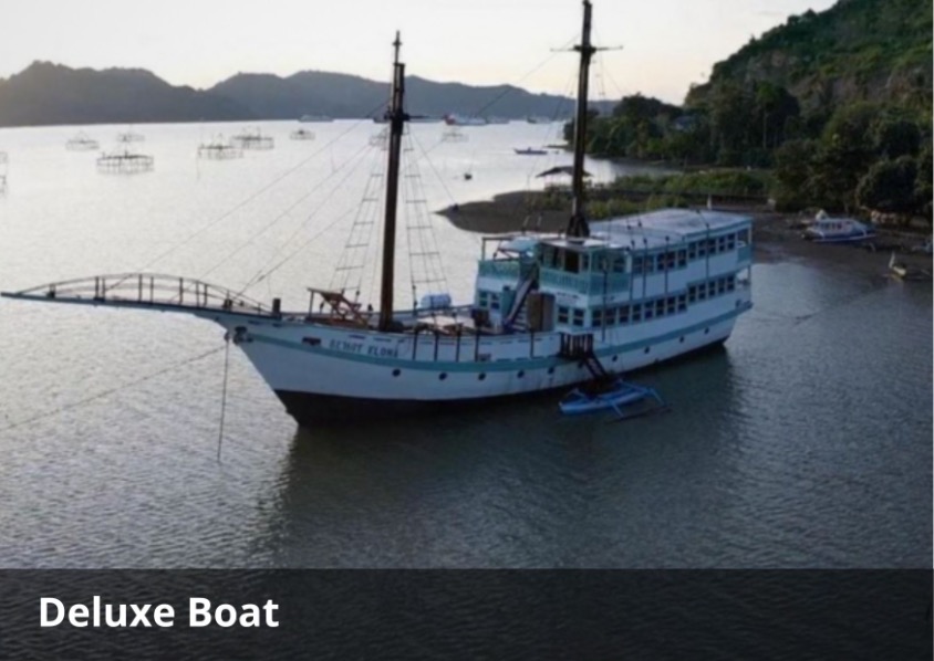 Komodo Sailing Adventure with Sehat Elona – 4D3N Cruise