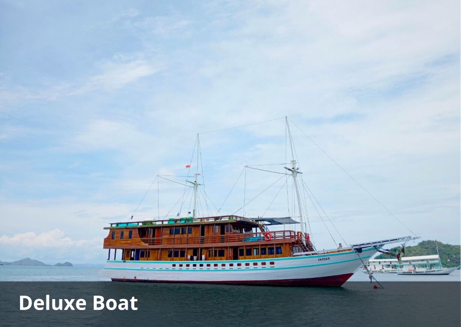 KLM Caesar Komodo Cruise