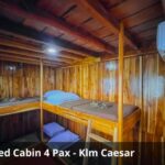 Shared Cabin 4